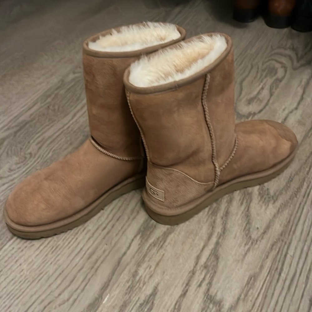 Uggs Classic Short boot in chestnut